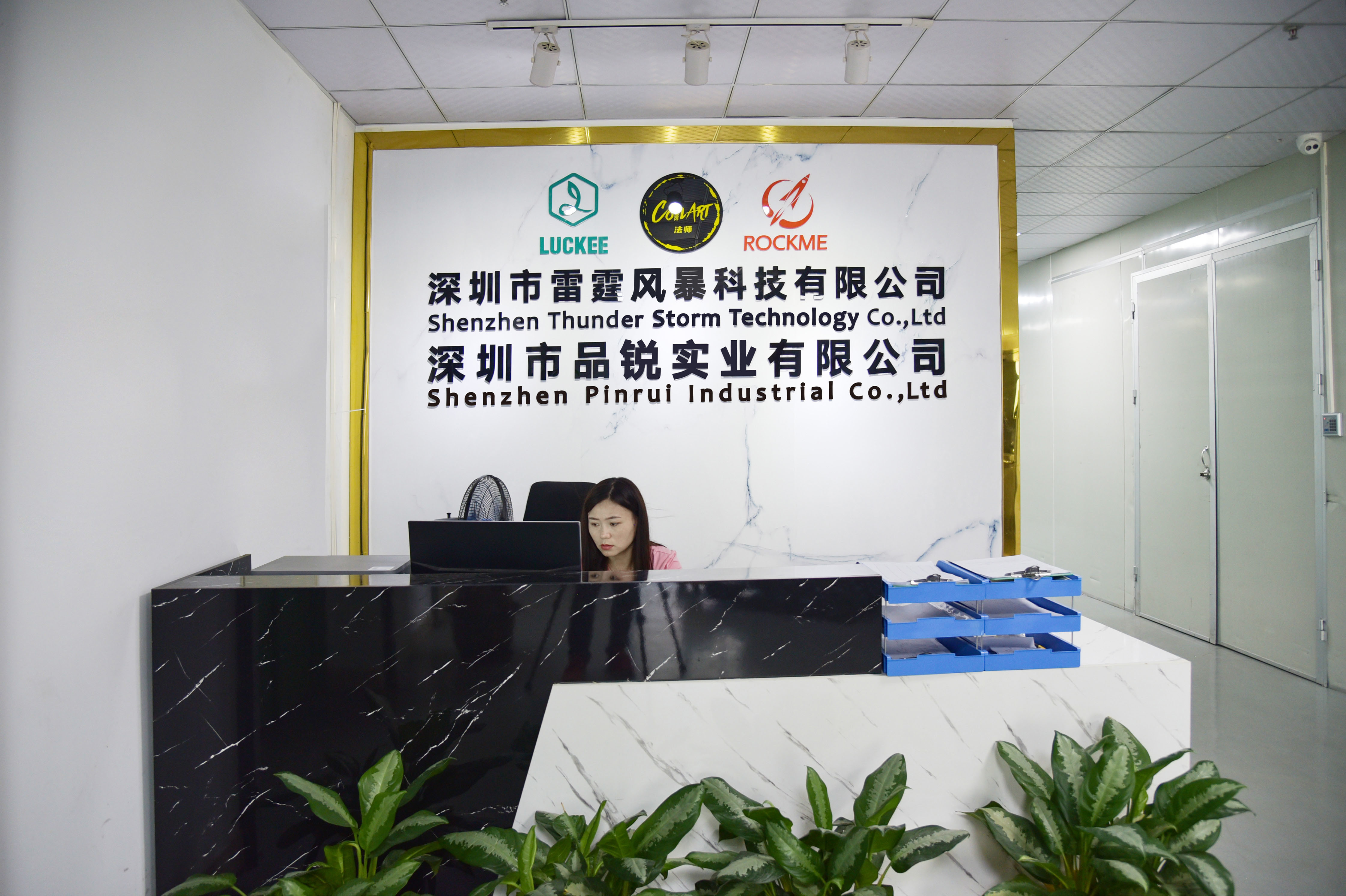 Shenzhen Pinrui Industrial Co.,Ltd