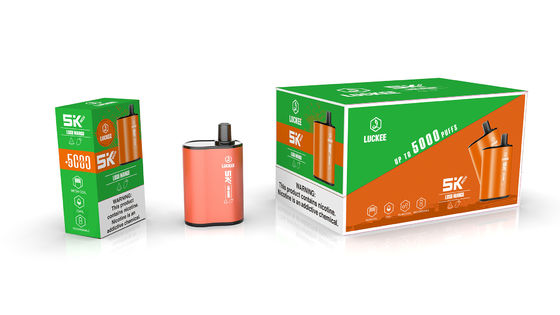 5000 Puffs Flavor Changeable Disposable Vape Pods Mesh Coil Cigarro Eletronico Descartavel