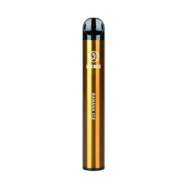400mAh Battery 2.5ml E Liquid Disposable E Cigarette 600 Puffs Vape OEM ODM